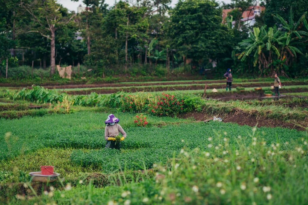 Sustainable Agriculture: Eco-Friendly Fertilizers and Chemical Solutions